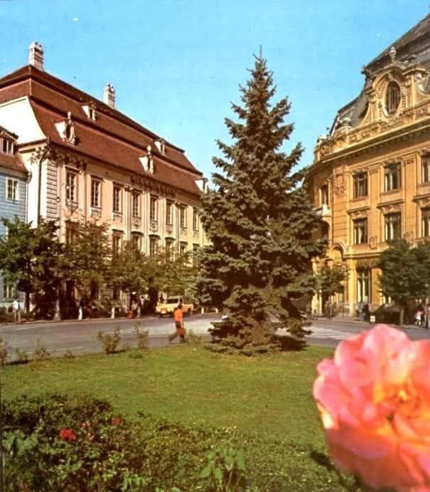 Die Sprache des Ornaments: Wie Österreich durch Transsylvaniens Mauern sprach